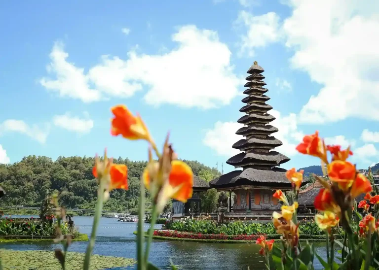 Sustainability — Hong Kong To Bali’s Environmental & Community Commitments